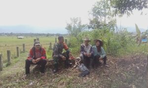 WhatsApp Image 2026-01-22 at 12.19.17