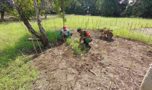 WhatsApp Image 2026-01-28 at 11.57.11