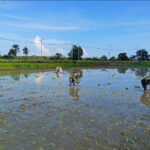 WhatsApp Image 2026-01-30 at 11.01.08