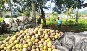 photo_2026-01-04_09-11-09
