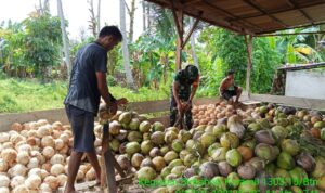 photo_2026-01-11_11-36-26