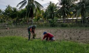 photo_2026-01-11_11-57-12