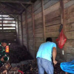 WhatsApp Image 2026-02-01 at 10.23.29