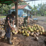 WhatsApp Image 2026-02-02 at 10.41.03