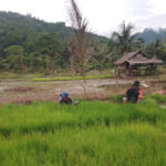 WhatsApp Image 2026-02-03 at 12.15.48