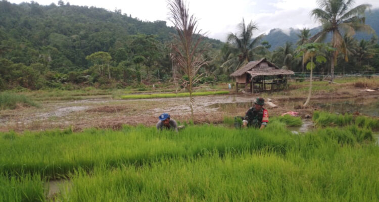 WhatsApp Image 2026-02-03 at 12.15.48