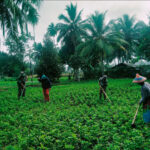 WhatsApp Image 2026-02-13 at 09.25.56