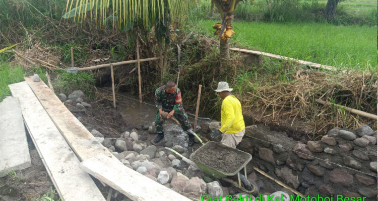 WhatsApp Image 2026-02-13 at 15.26.19