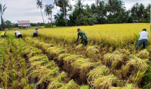 WhatsApp Image 2026-02-16 at 13.38.35