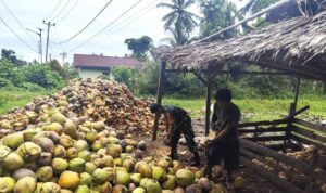 WhatsApp Image 2026-02-16 at 13.38.37