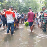 WhatsApp Image 2026-02-17 at 18.49.52