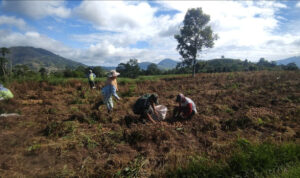 WhatsApp Image 2026-02-23 at 18.48.44