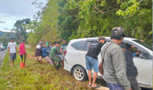 WhatsApp Image 2026-02-25 at 19.14.03