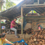 WhatsApp Image 2026-02-26 at 21.21.10