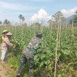 photo_2026-02-01_11-39-06