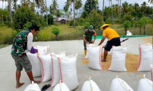 WhatsApp Image 2026-03-02 at 17.38.36