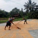 WhatsApp Image 2026-03-03 at 21.49.49