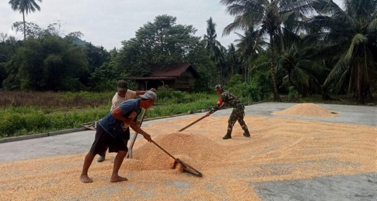 WhatsApp Image 2026-03-03 at 21.49.49