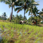 WhatsApp Image 2026-03-14 at 21.46.55