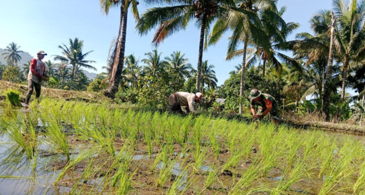 WhatsApp Image 2026-03-14 at 21.46.55