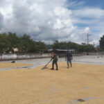 WhatsApp Image 2026-03-14 at 21.46.58