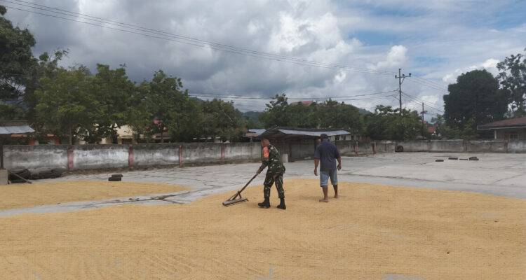 WhatsApp Image 2026-03-14 at 21.46.58